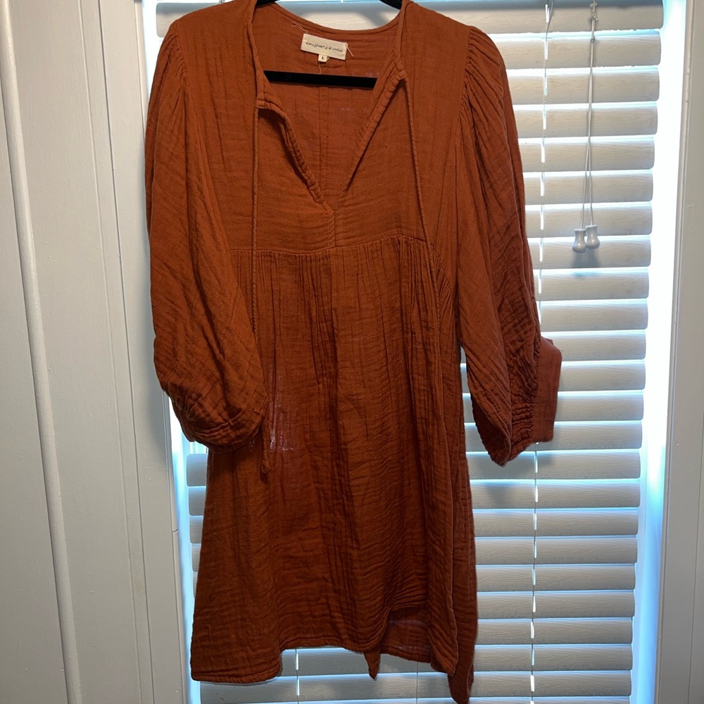 Daughters of India Terracotta Long Sleeve Dress